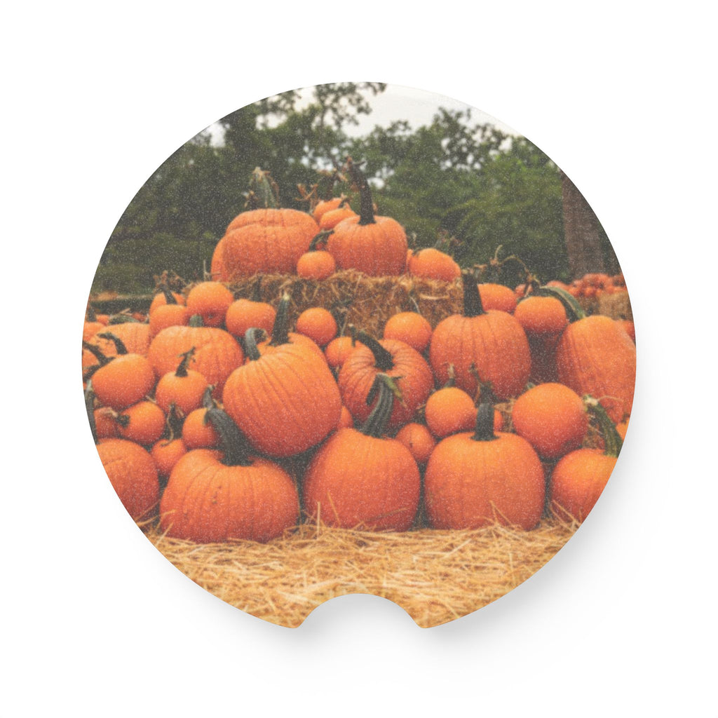 Autumn Pumpkin Patch Soapstone Car Coaster