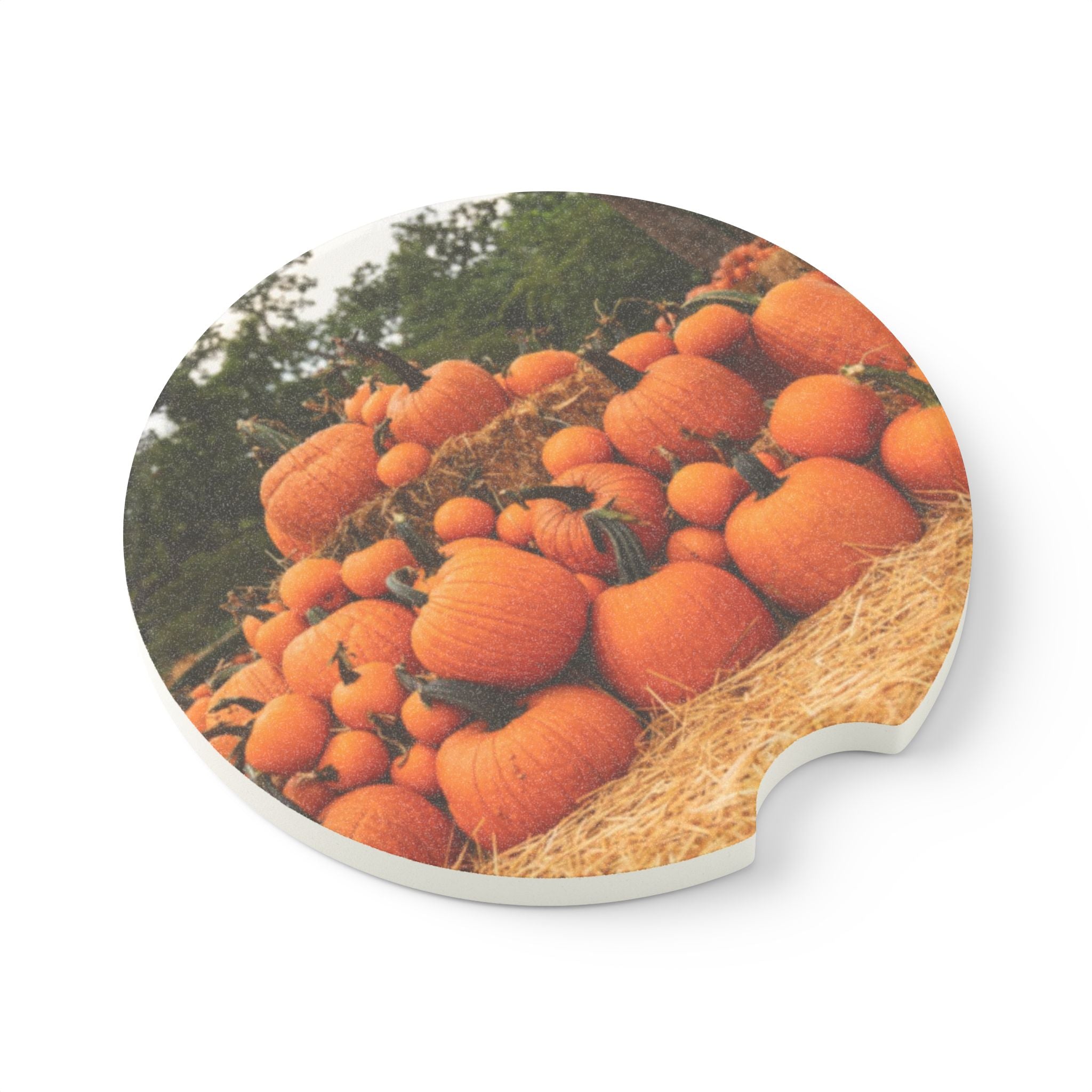 Autumn Pumpkin Patch Soapstone Car Coaster