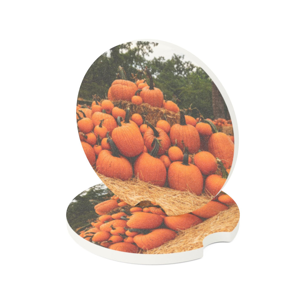 Autumn Pumpkin Patch Soapstone Car Coaster